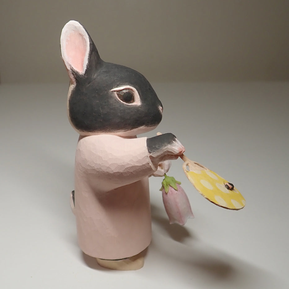 蛍 firefly